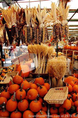 Image of Corn and pumpkins on market.