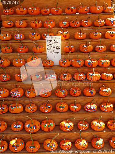 Image of Selection of painted pumpkins.