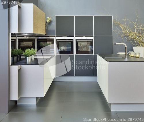 Image of Modern Kitchen