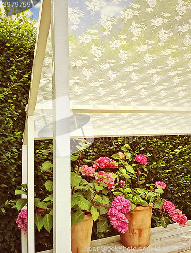 Image of Summer veranda with blooming gardenias