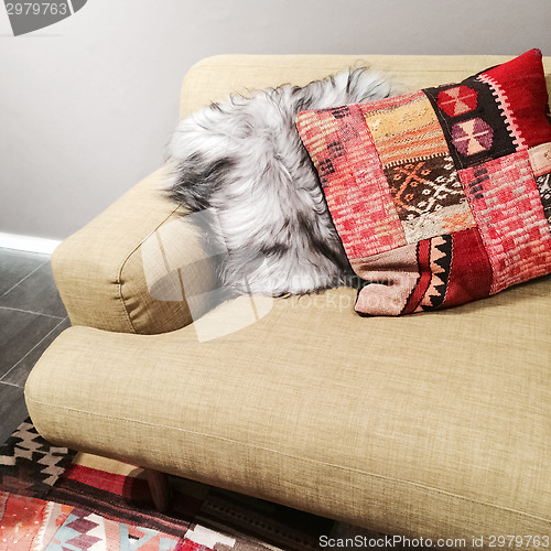Image of Sofa with fancy cushions