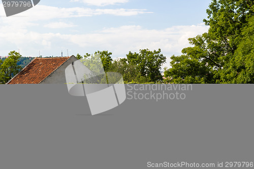 Image of Basilica from St Peter and St Paul in Vysehrad