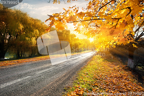 Image of Highway and autumn