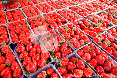 Image of Strawberry display