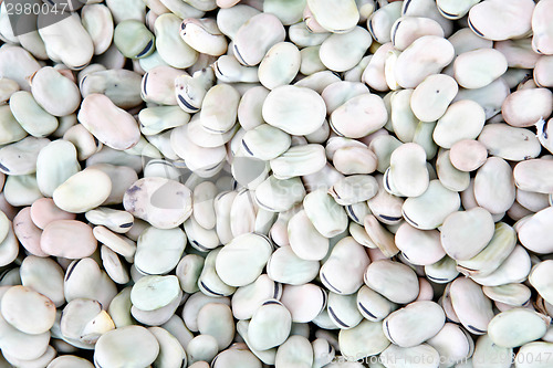 Image of Broad or fava beans