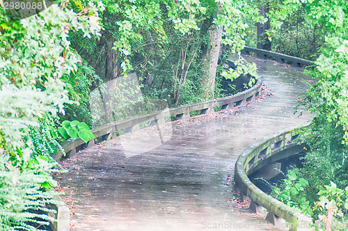 Image of A wooden golf cart pathway bridge curves around trees