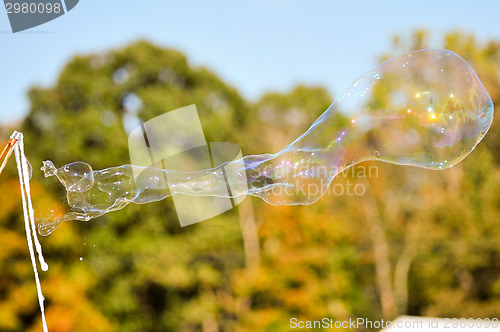 Image of blowing bubble balloons on a field