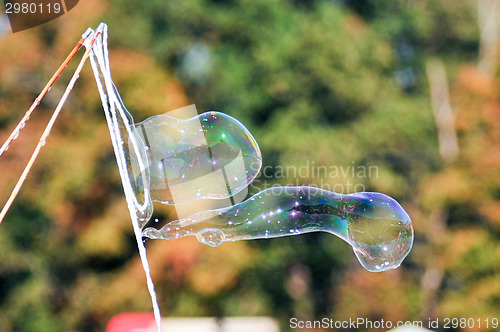 Image of blowing bubble balloons on a field