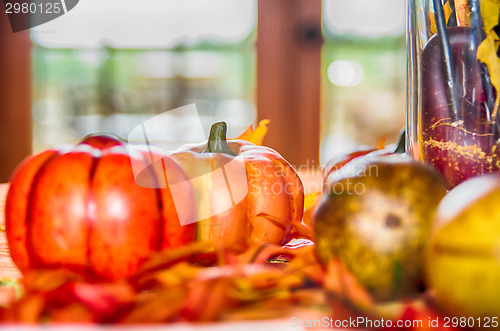 Image of autumn harvest with pumpkins on table