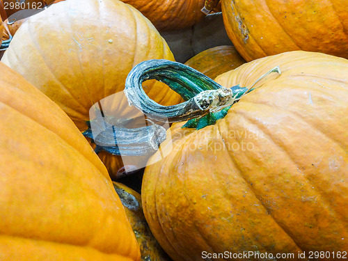 Image of harvested pumpkins in store for sale