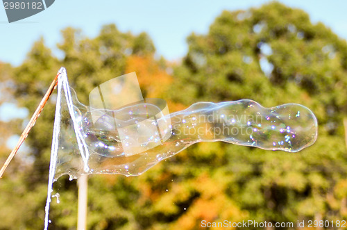 Image of blowing bubble balloons on a field