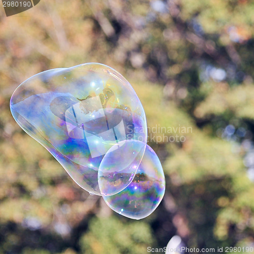 Image of blowing bubble balloons on a field