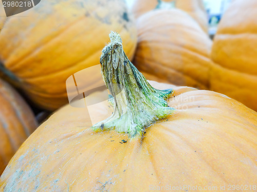 Image of harvested pumpkins in store for sale
