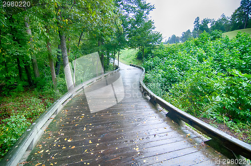 Image of A wooden golf cart pathway bridge curves around trees