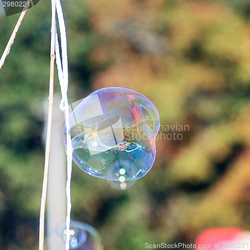 Image of blowing bubble balloons on a field