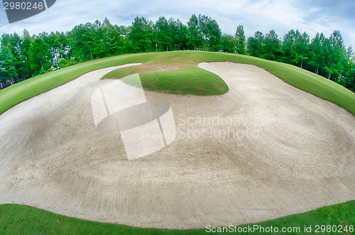 Image of green grass of the golf course surrounded by autumnal forest