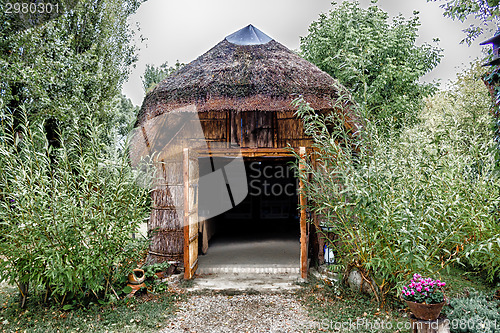 Image of Marsh Plants Huts 