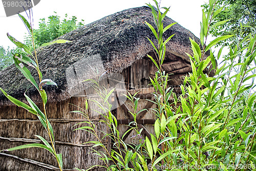 Image of Marsh Plants Huts 