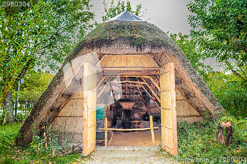 Image of Marsh Plants Huts 