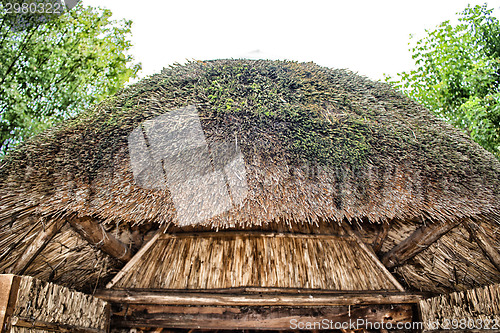 Image of Marsh Plants Huts 