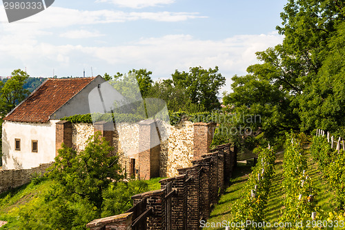 Image of Basilica from St Peter and St Paul in Vysehrad