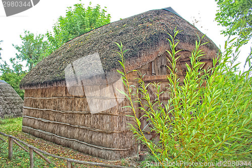 Image of Marsh Plants Huts 