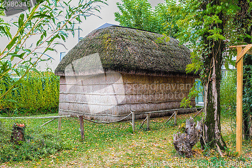 Image of Marsh Plants Huts 