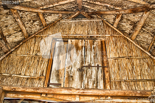 Image of Marsh Plants Huts 