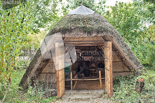 Image of Marsh Plants Huts 