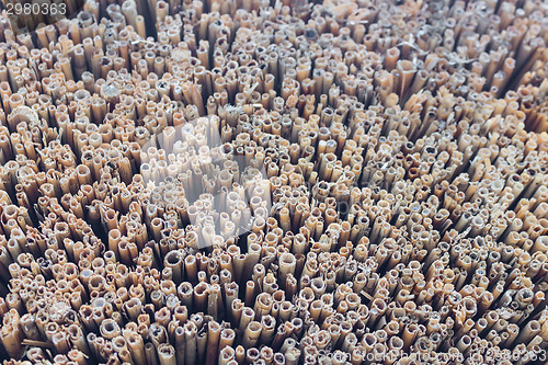 Image of Marsh Plants Huts 