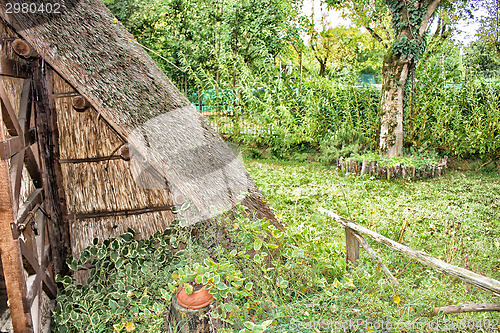 Image of Marsh Plants Huts 