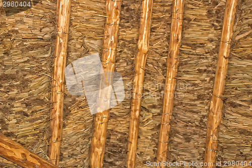 Image of Marsh Plants Huts 