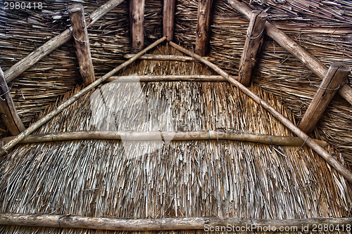 Image of Marsh Plants Huts 