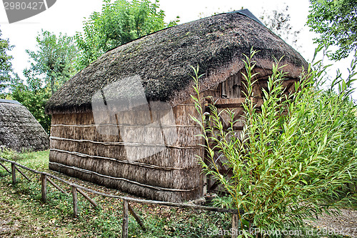 Image of Marsh Plants Huts 