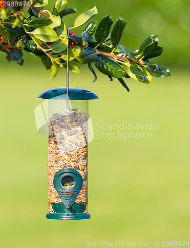 Image of Bird feeder full of seeds