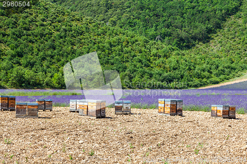 Image of Beehive close to lavander field