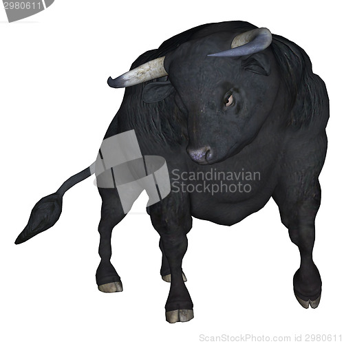 Image of Bull