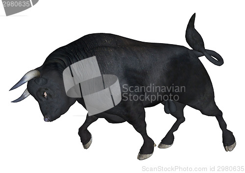 Image of Bull