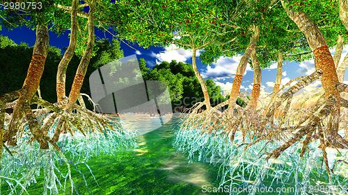 Image of Red mangroves 