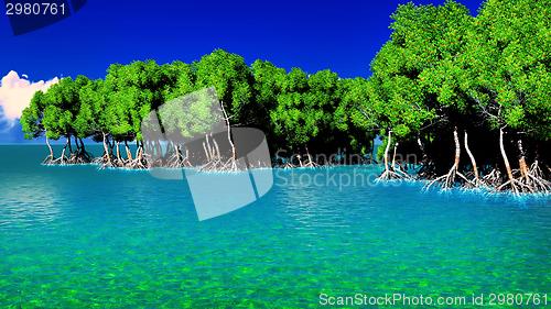 Image of Red mangroves 