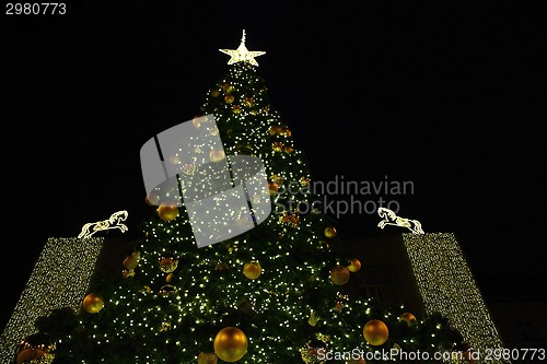 Image of christmas tree