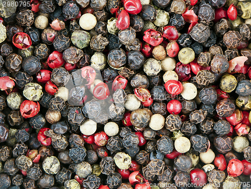 Image of Red, black, green and white peppercorns