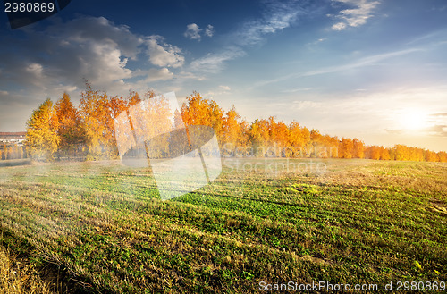 Image of Autumn forest and field