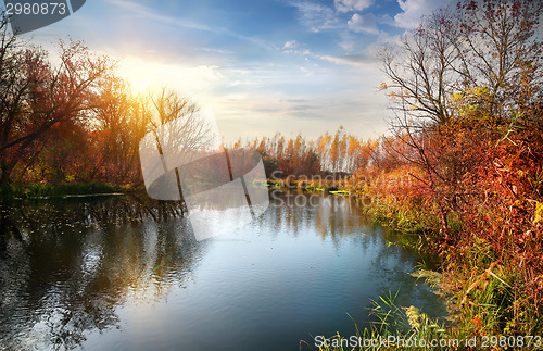 Image of Autumn season on the river