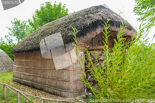 Image of Marsh Plants Huts 