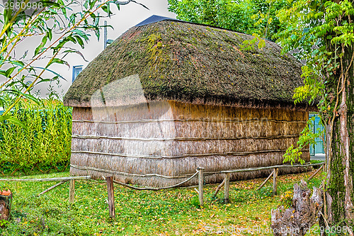 Image of Marsh Plants Huts 