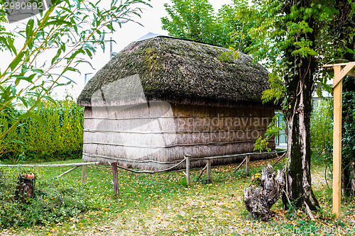 Image of Marsh Plants Huts 