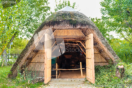 Image of Marsh Plants Huts 