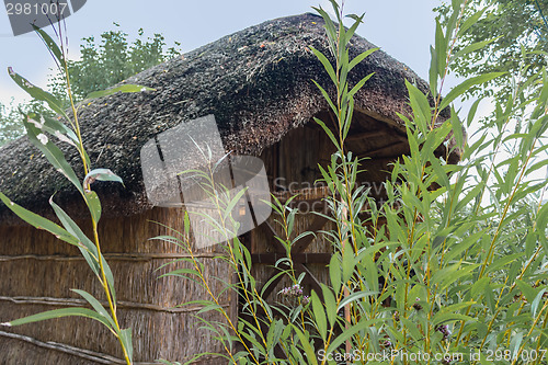 Image of Marsh Plants Huts 