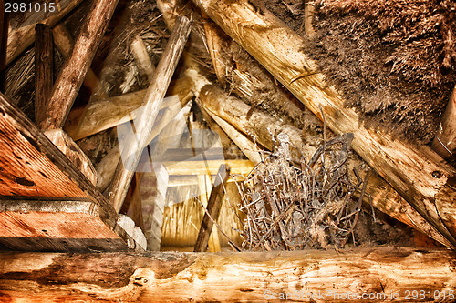 Image of Marsh Plants Huts 